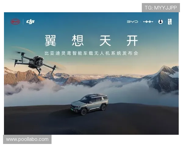 k8凯发一触即发：掌握每一次胜利的关键时刻