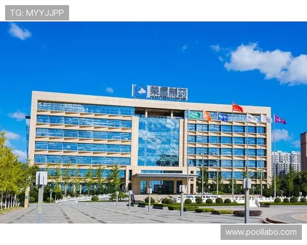 K8.com凯发现金开户平台的客户服务与技术支持全方位解读 K8.com凯发现金开户平台的客户服务与技术支持全方位解读